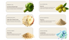 IMMUNIQS™ Daily Balance Capsules